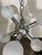 Vintage Mid Century Modern Sputnik style or Molecular Style Chandelier, a wonderful atomic swag lamp Chandelier will put...