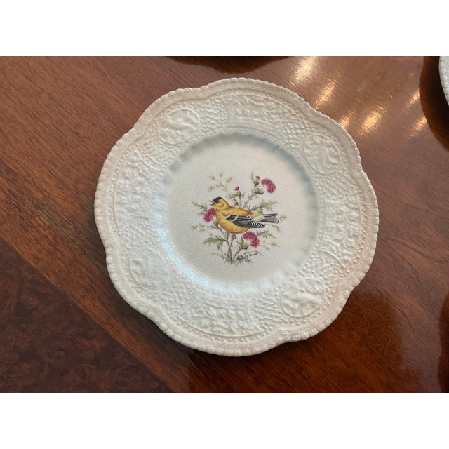Royal Cauldon Bristol Ironstone “Aviary” Bird Plates by h.a. Pausch, Set of 8, Mid-Century For Sale - Image 4 of 13