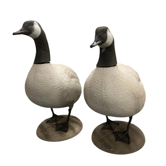 Traditional Pair of Vintage-Style Resin Canada Goose Garden Statuary For Sale - Image 3 of 12
