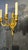 1920 French Empire Style Bronze Sconces With Lion Heads - a Pair For Sale - Image 4 of 12