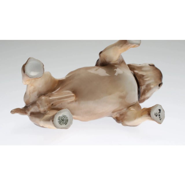 Bulldog from Royal Doulton For Sale - Image 3 of 4