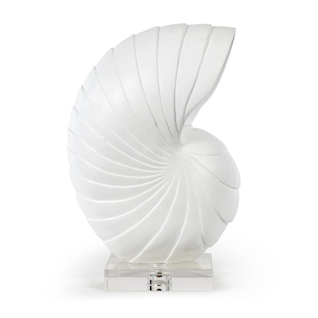 Contemporary Nautilus Shell Large, White For Sale - Image 3 of 5