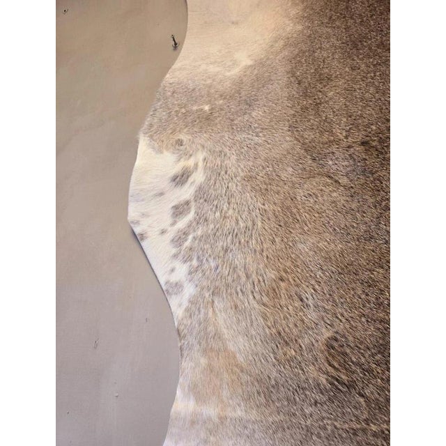 Large Beige and Brown Cowhide Rug For Sale - Image 13 of 18