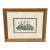 Vintage Framed Cyclamen Flower Print For Sale