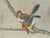 2020s De Gournay Badminton Framed Wall Paper Panels, Set of Three For Sale - Image 5 of 12