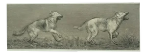 Pawel Zablocki, Tofcia II and Tofcia III, Etching on Paper, 2024