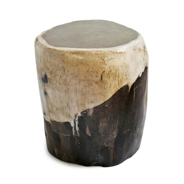 Solid organic vintage petrified wood stool or side table. Created from a ancient fossilized tree trunks that have been...