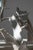 Metal Looking Up in the Attic Candleholder by Vincent Decat For Sale - Image 7 of 9