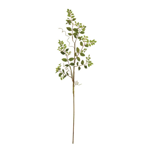 Bring natural texture and movement to your decor with this Mini Leaf Branch Set. Designed with slender stems, delicate...