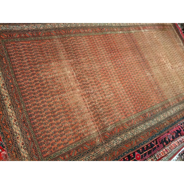Antique Persian Saraband Gallery Area Rug, Hand-Knotted Wool, Allover Paisley Pattern, 7x12, Terracotta & Green For Sale In Chicago - Image 6 of 7