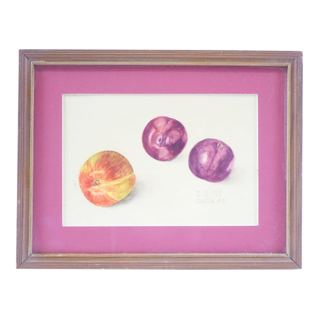 Watercolor on Paper Signed at the Bottom 1975 For Sale