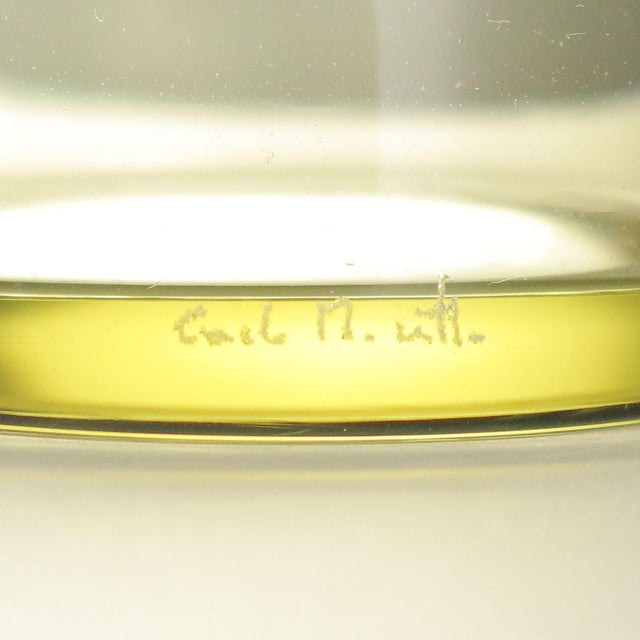 Murano Glass Bottle by Carlo Moretti For Sale - Image 6 of 7