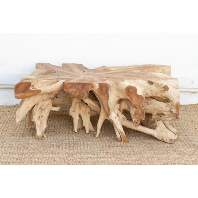 Sculptural Live Form Teak Root Coffee Table For Sale In Los Angeles - Image 6 of 9