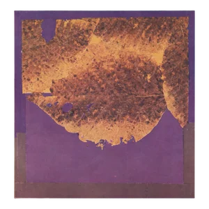 Josef Albers 1963 "Interaction of Color" Folder Xxv-2 Left Side "Autumn Leaves" Print