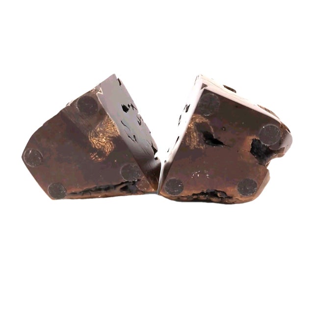 Burlwood Bookends Live Edge Natural Rustic Library Mid Century Modern Unique For Sale In San Diego - Image 6 of 9