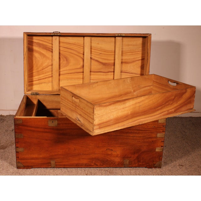 Camphor Wood Marine Chest with Double Locks and Camphor Wood Top, 19th Century For Sale - Image 6 of 16