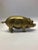 Vintage Brass Piggy Bank. A great metallic accessory for display!