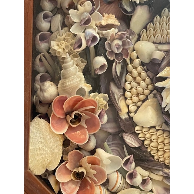 1960s Superb Sea Shell Sailors Valentines American Folk Art For Sale In Miami - Image 6 of 7