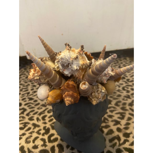 Shell Encrusted Bust in Farrow & Ball Hopper Head For Sale - Image 10 of 12