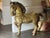 1970s 1970s Monumental Sergio Bustamonte Horse For Sale - Image 5 of 12