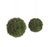 Transform your home with the beauty of nature using this set of Seedum Orbs. Made from durable plastic and designed to...