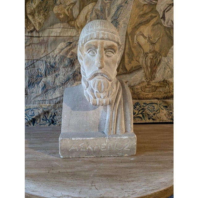 French School Artist, Bust of Aesculapius, 19th Century, Stone For Sale - Image 10 of 13