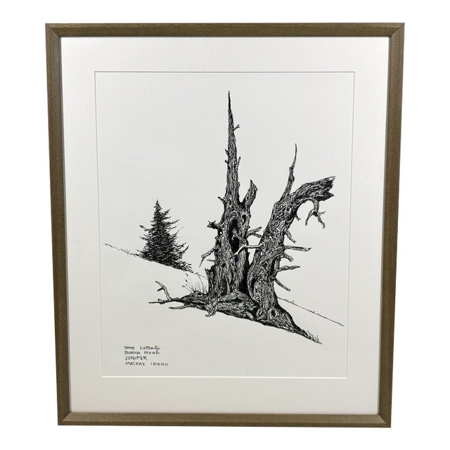 1980s Steve LeBailly Signed Pen & Ink Drawing "Burma Road Juniper" Mackay, Idaho For Sale