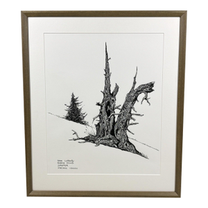 1980s Steve LeBailly Signed Pen & Ink Drawing "Burma Road Juniper" Mackay, Idaho