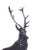 Large Bronze Stag Statuettes after Moigniez, 20th Century, Set of 2 For Sale - Image 3 of 18