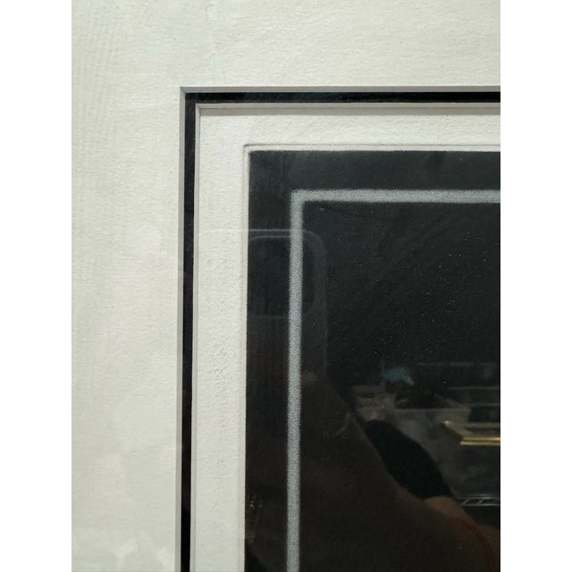 Avati La Fascination Du Miroir 1986 Signed Numbered 41/85 Bird Surrealist Print For Sale - Image 4 of 10