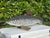 Vintage Large Hand-Carved Folk Art Fish Centerpiece With Hand-Forged Steel Fins For Sale - Image 10 of 12