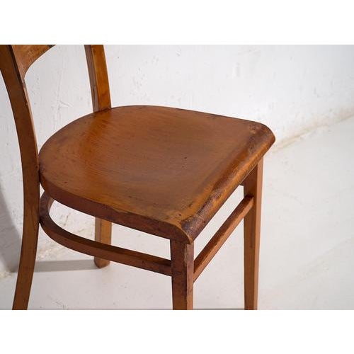 Wood Vintage Dining Chairs, 1950, Set of 2 For Sale - Image 7 of 9