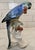 Ceramic Rare Pair of Karl Ens Parrots For Sale - Image 7 of 17