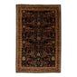 Shop Apadana Rugs & Carpets