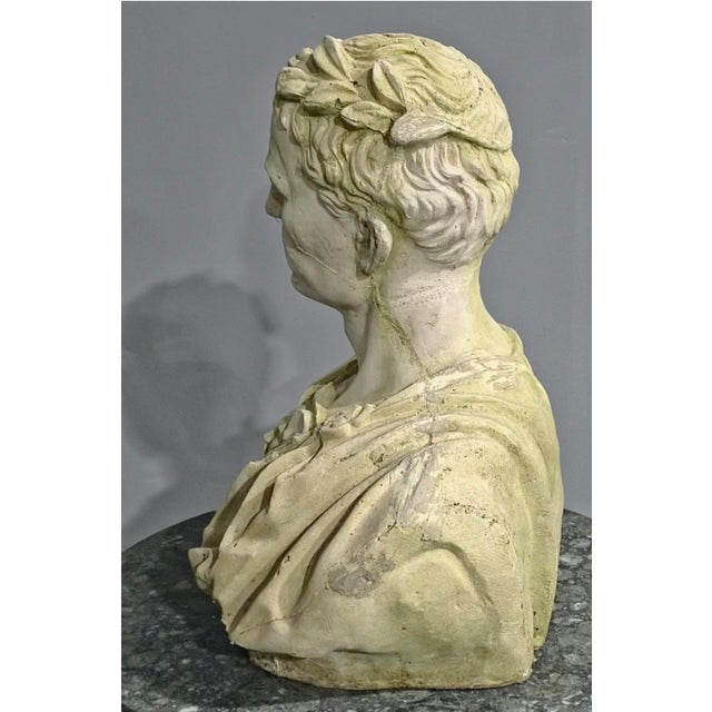 Large Stone Gladiator Bust, 1930 For Sale - Image 6 of 8
