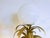 Large Floor Lamp with Pineapple in Gilded Metal, 1970s For Sale - Image 4 of 14