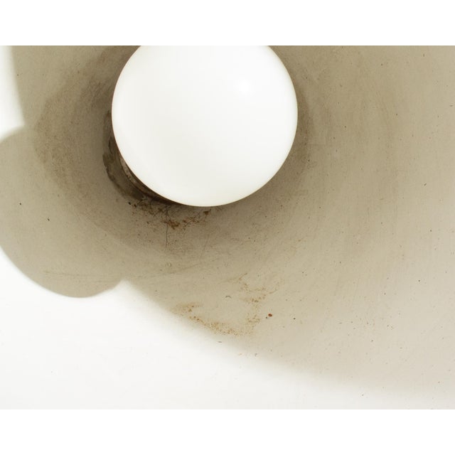 Tulip Torchiere Floor Lamp Designed by Max Bill For Sale In Indianapolis - Image 6 of 8