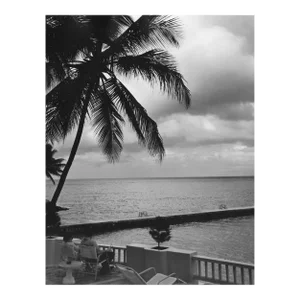 1966 Don Ware Ocho Rios Jamaica Tropical Photograph