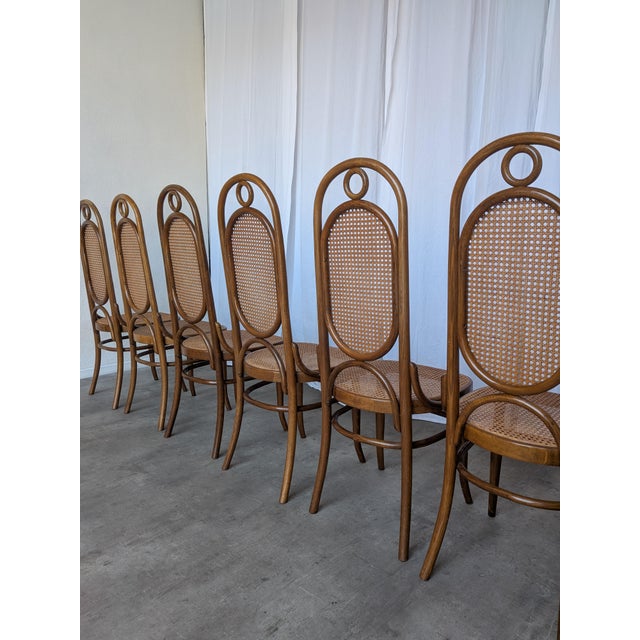 Mid-Century Modern Mid-Century Bentwood Cane Dining Chair, Yugoslavia, 1970s, Set of 6 For Sale - Image 3 of 18