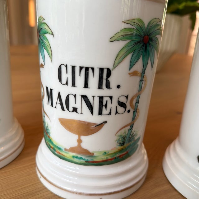 Set of 4 Antique Porcelain Apothecary Jars With Hand Painted Palm Tree and Serpent Decoration For Sale - Image 9 of 12