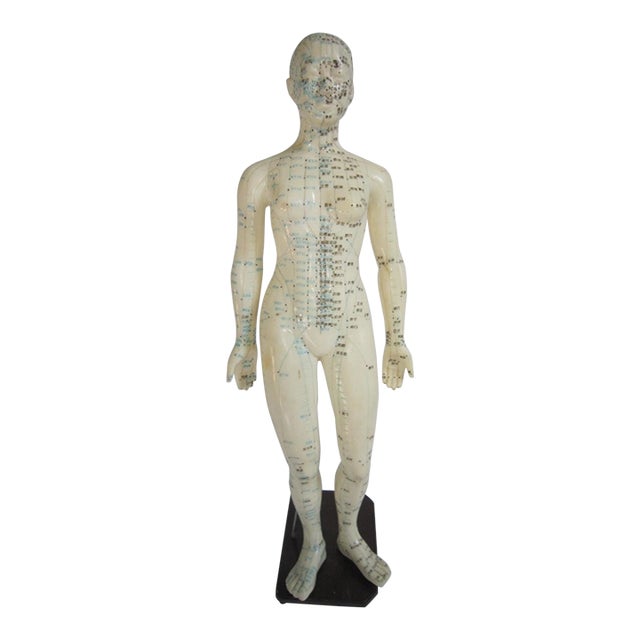 Vintage Female Vinyl Acupuncture Model, 1970's For Sale