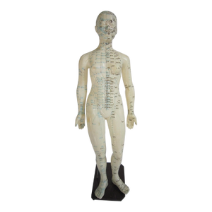Vintage Female Vinyl Acupuncture Model, 1970's