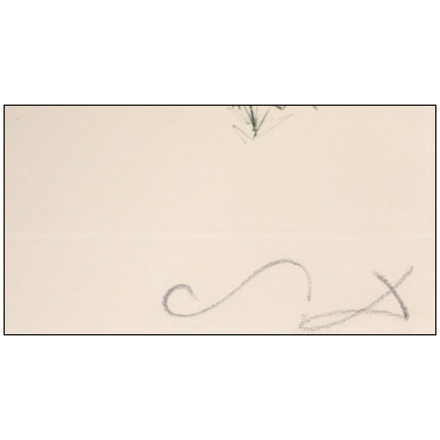 1970s 1970 Tristan and the Dragon Etching Salvador Dalí For Sale - Image 5 of 7