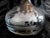 1930s Large Crystal Ships Decanter With Etched Ship For Sale In San Francisco - Image 6 of 8