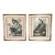 Pair of Vintage Framed Bird Illustration Lithographs by John James Audubon For Sale