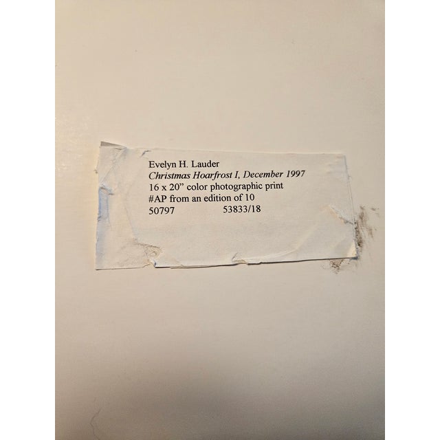 Contemporary Evelyn Lauder Photograph Artist Proof Edition of 10 For Sale - Image 3 of 3