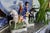 Ceramic 1960s Staffordshire-Style Dick Turpin & Tom King Figures – Pair For Sale - Image 7 of 18