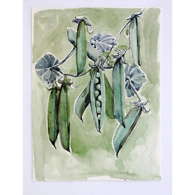 Mid century watercolor on paper painting of pea pods in a garden. Unsigned. Unframed, age toning.