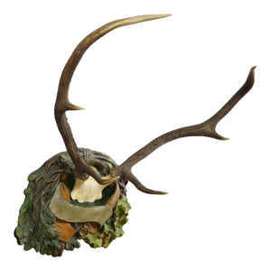 Antique Black Forest Deer Trophy on Plaster Plaque, Ca. 1920s
