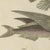 Beige Bertuch, Flying Fish with a Flying Gurnard, 1805, Print For Sale - Image 8 of 12